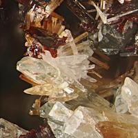 Calcioburbankite, Manganoneptunite