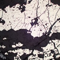 Cattierite, Uraninite, Muscovite
