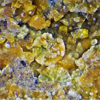 Calcurmolite, Compreignacite, Uranophane