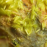 Uranopilite