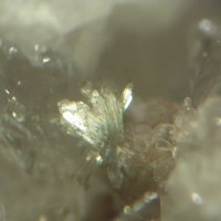 Cascandite