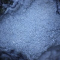 Nasonite