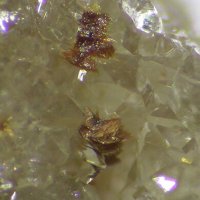 Rappoldite
