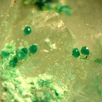 Sabelliite