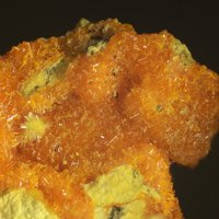 Gauthierite, Sklodowskite