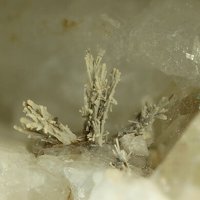 Uranopolycrase