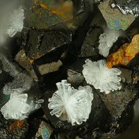 Carlhintzeite