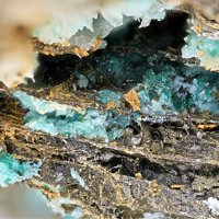 Ramsbeckite, Schulenbergite, Linarite