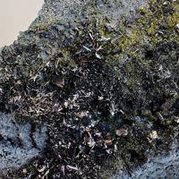 Cannizzarite, Challacolloite, Pseudocotunnite
