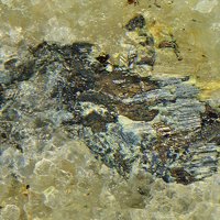 Eclarite