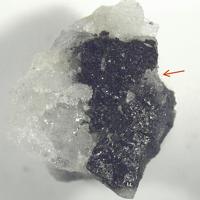 Baratovite