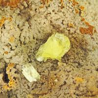 Calcioferrite