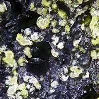 Ecdemite