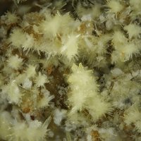 Rabbittite