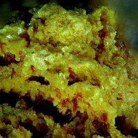 Uranopilite