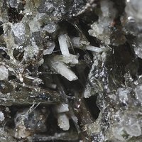Kalsilite