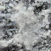 Canavesite, Dypingite, Magnetite