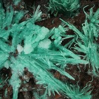 Kaliochalcite