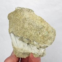 Eastonite, Tremolite