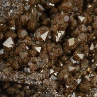 Caryopilite, Quartz, Hematite
