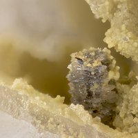 Raspite, Wolframite Group