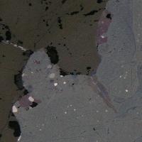 Cabriite, Paolovite, Niggliite