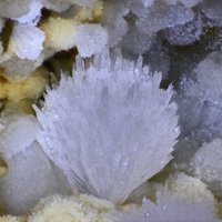Dachiardite-Ca, Dachiardite-Na, Ferrierite-Na