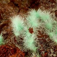 Agardite-(Nd)