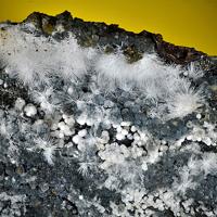 Canavesite, Dypingite