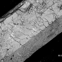 Caysichite-(Y), Xenotime-(Y)