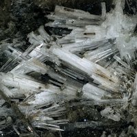 Kaliophilite