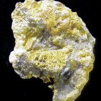 Agrinierite