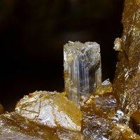 Palermoite