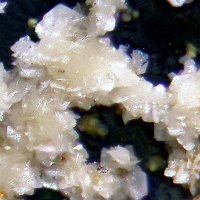 Ecdemite