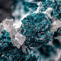 Lammerite