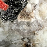Dalyite