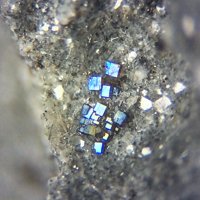 Fayalite