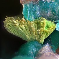 Gartrellite, Agardite, Pseudomalachite