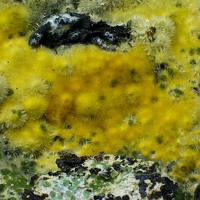 Cacoxenite, Chalcosiderite