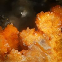 Uranosphaerite
