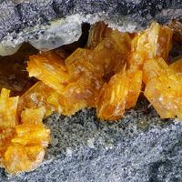 Bazhenovite