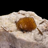Bastnäsite-(Ce), Allanite-(Ce), Dolomite