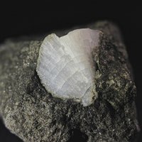 Garronite-Ca