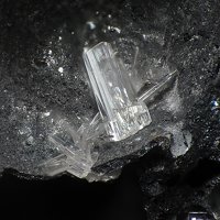 Lanarkite
