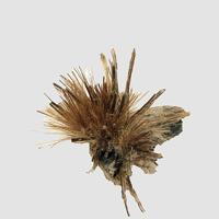 Balangeroite
