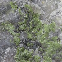 Mackayite