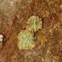 Abernathyite, Heinrichite