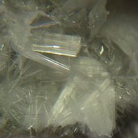 Kaliophilite