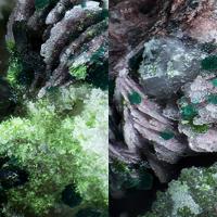 Agardite-(Ce), Cornwallite, Olivenite