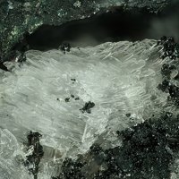 Carlhintzeite